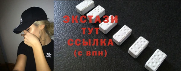 таблы Богородицк