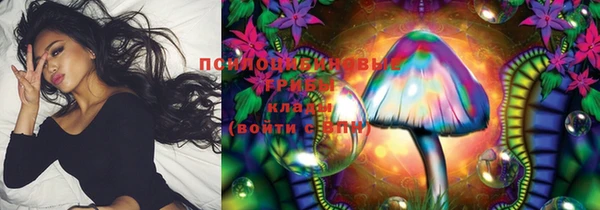 прущая мука Богданович